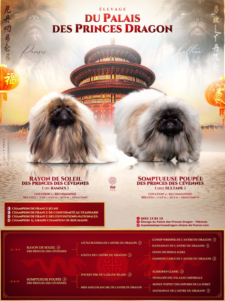 Naissance des bébés 